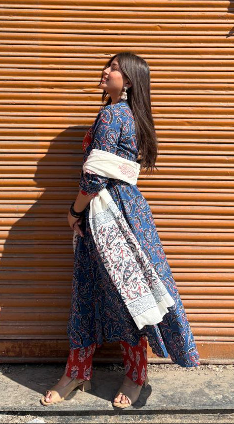Rangrez Indigo Panel Anarkali Set